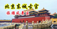 美妇aV中国北京-东城古宫旅游风景区